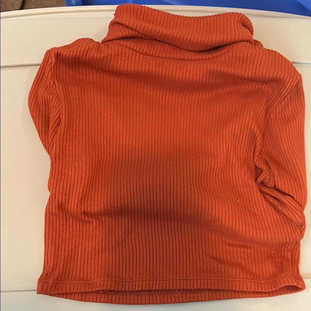 Arizona Jean Company Burnt Orange Knit Turtleneck
